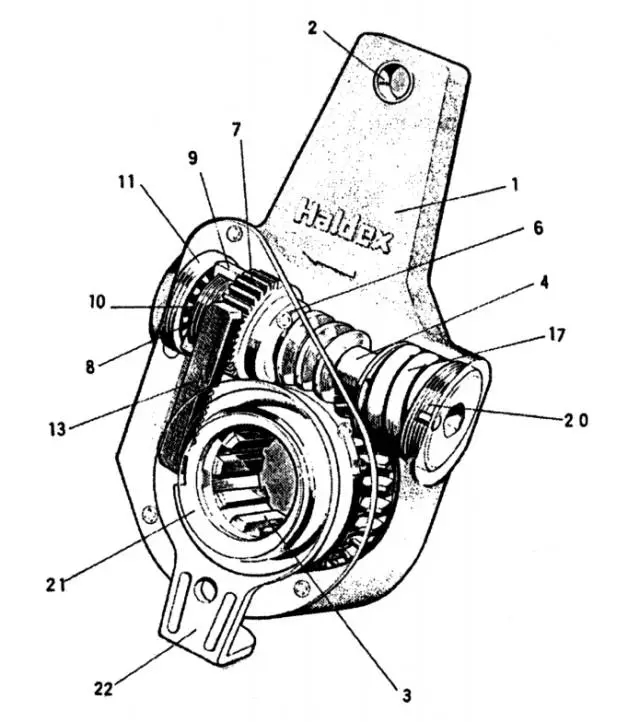 1253_webp.jpg